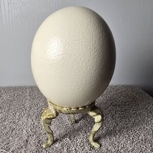 Vintage Natural Ostrich Egg On A Gold And Cream Stand